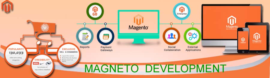 Magento Development Services India